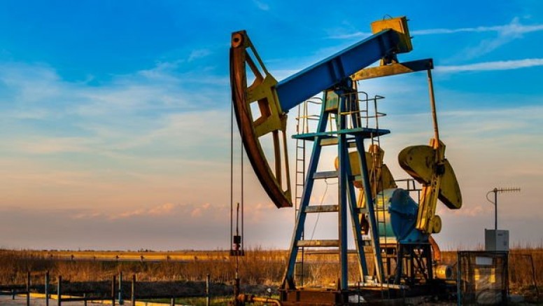 “OPEC+ Küresel Petrol Piyasasındaki Gelişmelere Göre Kararlar Almalı”