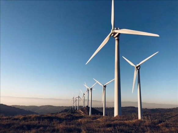 Salgına Rağmen Rüzgar Enerjisinde Büyüme Bekleniyor